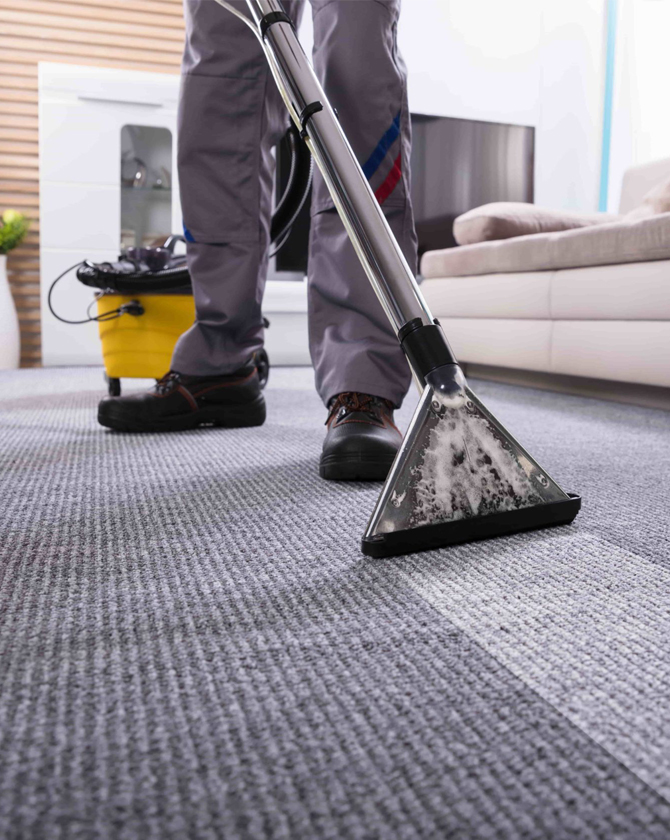 Professional Carpet Cleaning Services in Longmont CO